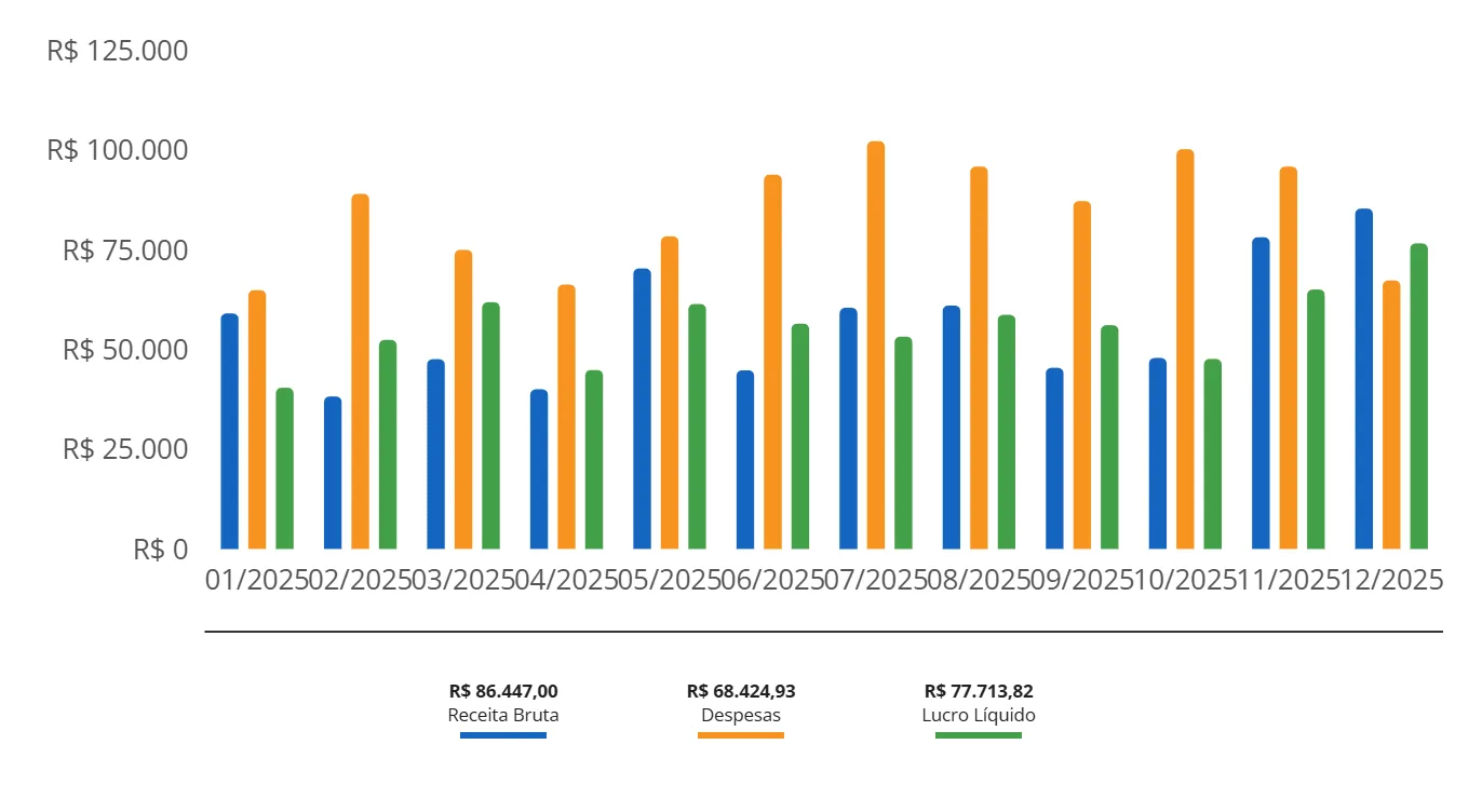 Gráfico de colunas com Receita Bruta, Despesas e Lucro Líquido lado a lado em cada mês de 2025