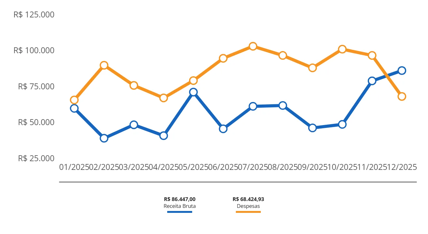 Gráfico de linhas com Receita Bruta e Despesas mês a mês ao longo de 2025